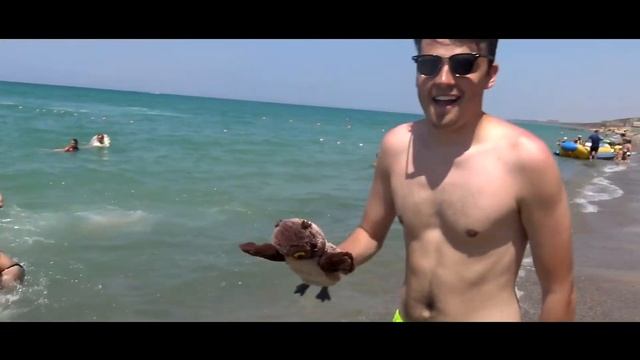 ФСАМО2017. #команда2018 смотреть онлайн