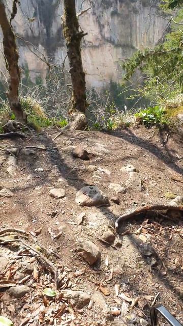 Мезмай, Ведьмин лес, Курджипское ущелье смотреть онлайн