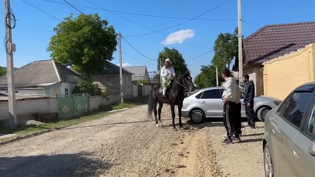 Выпуск 7.2 | Подбор жеребцов | Нашли и купили | Александр Обжерин смотреть онлайн