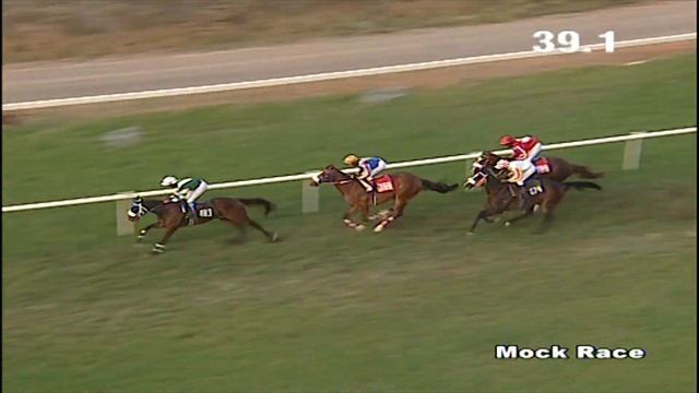 Lightning Bolt with Aneel up wins The Mock Race on 18-02-2019 смотреть онлайн