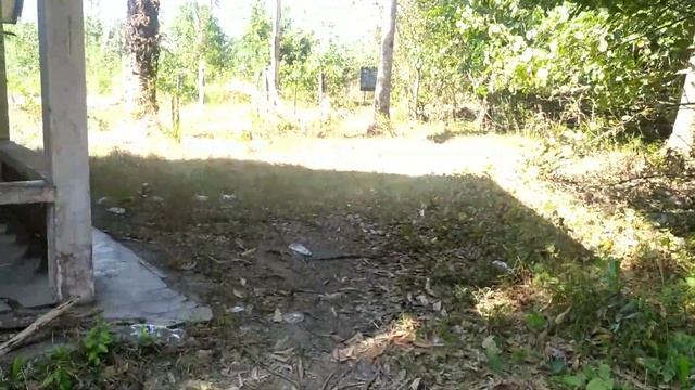 Таиланд. Заброшенные виллы на пляже смотреть онлайн