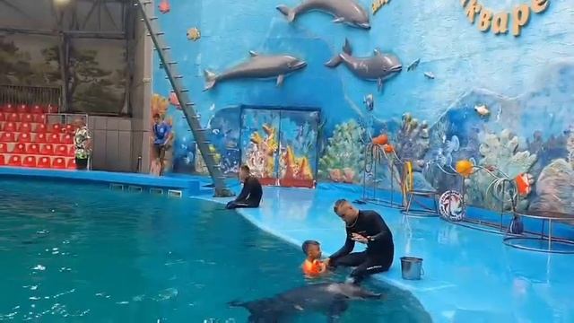 Алушта.Царь зверей вдруг оседлал дельфина.Моя мама в шоке! смотреть онлайн