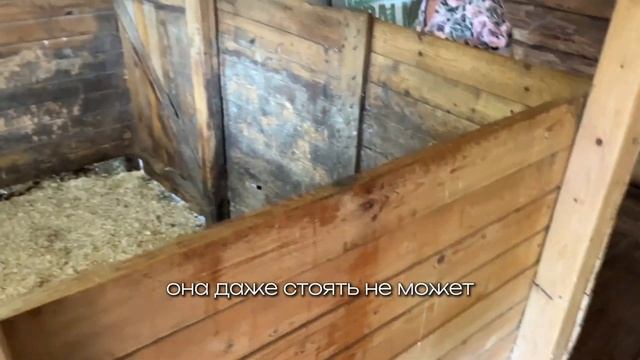 Путешествие на машине с 2 детьми в Суздаль и Владимир // Москва-Владимир-Суздаль 2024 смотреть онлайн