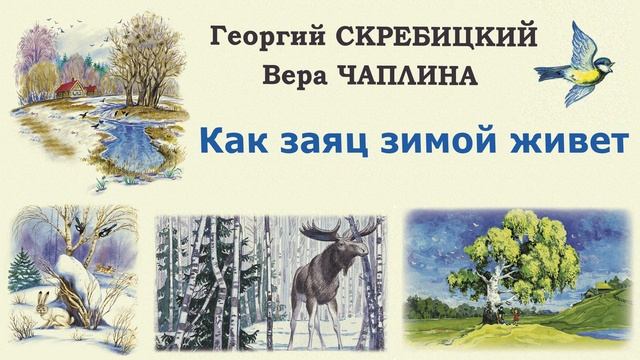 «Как заяц зимой живет» Г. Скребицкий и В. Чаплина - Слушать смотреть онлайн