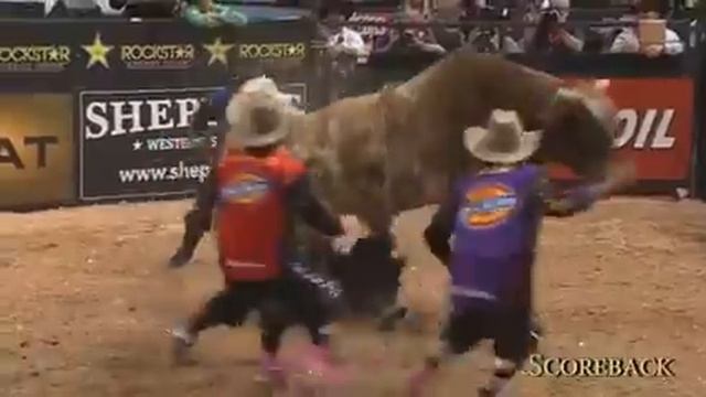 Радео на диких быках смотреть онлайн