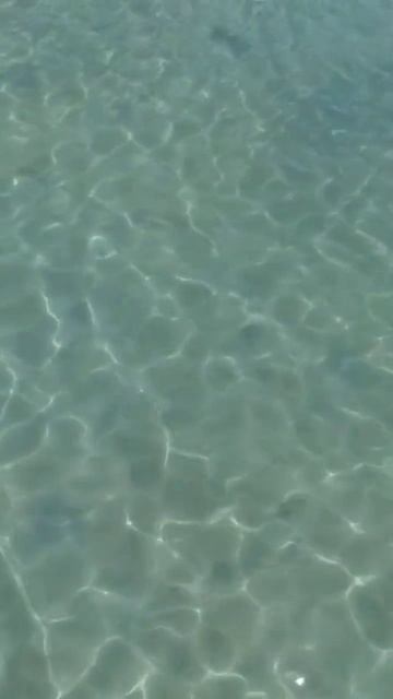 AMC Royal Hotel & Spa *5.Хургада! смотреть онлайн