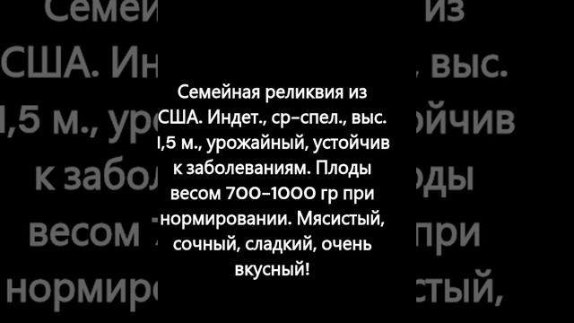 Каталог новых сортов томатов 2023 г. Часть 2. г. Киров смотреть онлайн