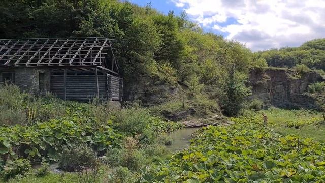 Поездка в сергокалинский район 18.08.20г смотреть онлайн