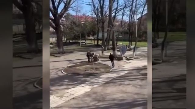 Одесса. Очередной водитель Леопардов отправляется на обучение смотреть онлайн