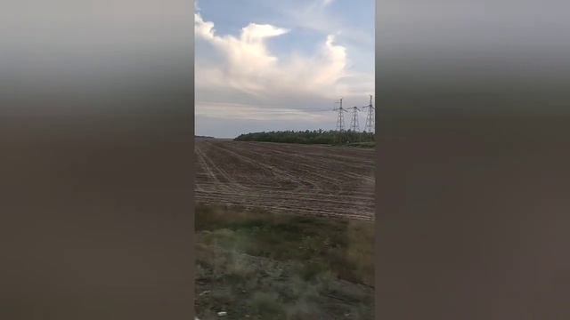ВЛОГ ◍ вышиваю и болтаю ◍ смотреть онлайн