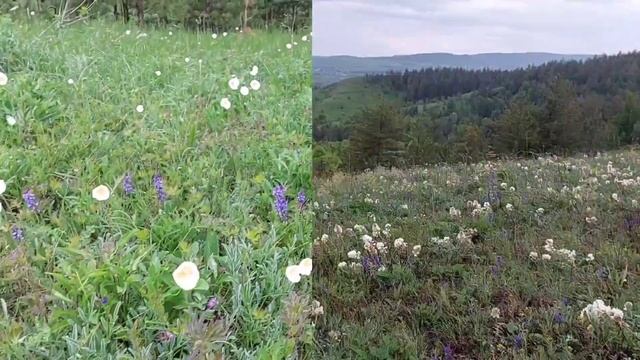Хвалынск- прекрасное рядом смотреть онлайн