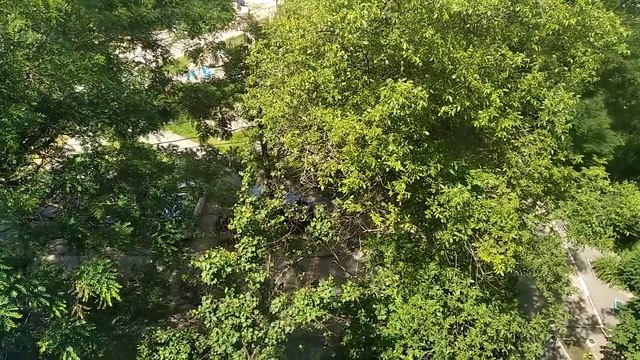 ЗАПОРОЖЬЕ БАБАХНУЛО СИЛЬНО ДНЕМ 13.06.23 смотреть онлайн