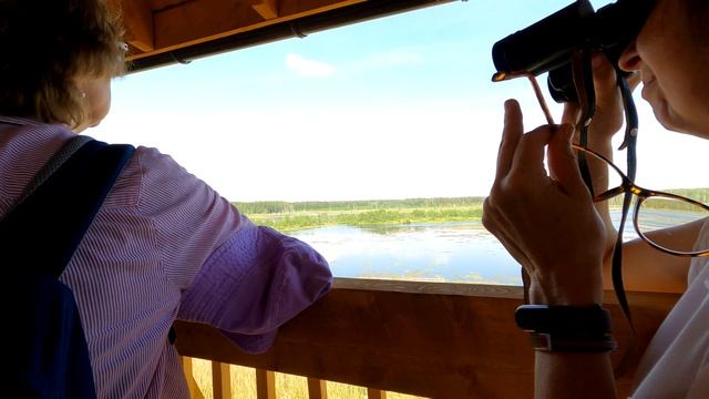 Понтонная экотропа | Лосиный остров | Московская область | Marsh Near Moscow | Pontoon Trail