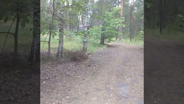 тишина на месте ликвидированной базы отдыха 20240725 110101 смотреть онлайн