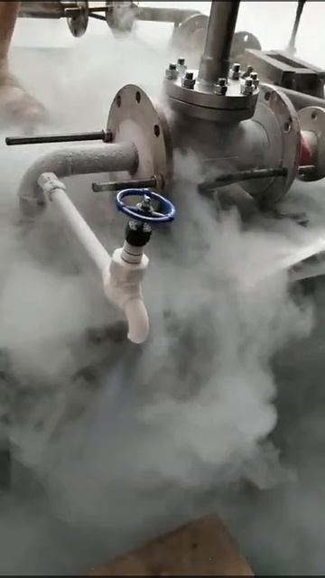 LN2 TEST FOR THE CRYOGENIC GLOBE VALVE смотреть онлайн