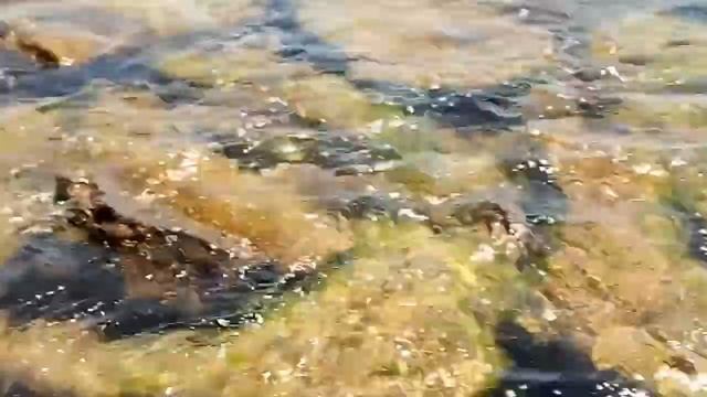 1. Феодосия кемпинг смотреть онлайн