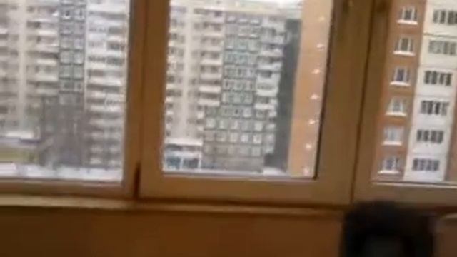 ВОрон Морган Утром.mp4 смотреть онлайн