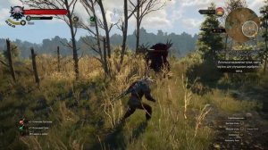 Ведьмак 3 Гайд где найти Мастерское снаряжение Школы Волка