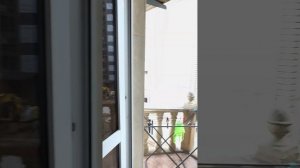 Отель Грейс Оганес 3 ( grace oganes) Сочи , Адлер ( Май 2024 )