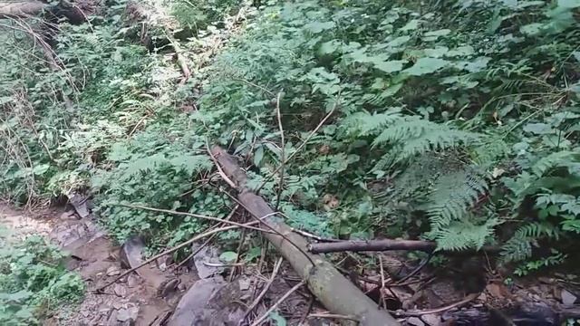 Карпаты. Ворохта 2020 Серебряный источник. смотреть онлайн