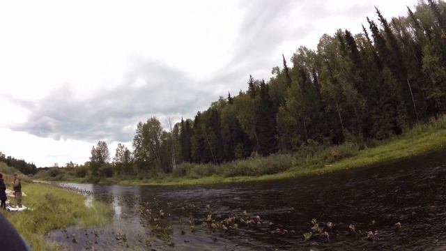 Сплав 2015 live #2 смотреть онлайн