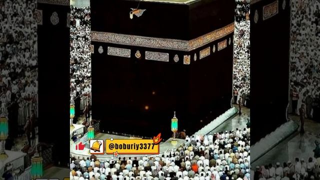 очень красывий нашидь Мухаммад набийна. go'zal nashid. beautiful nashids. #alafasy #islamic #quran смотреть онлайн