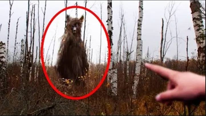 страшные истории реальные.существа смотреть онлайн