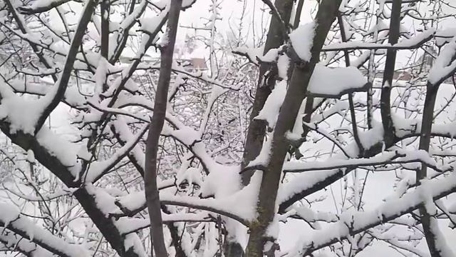 Снег в станице Марьянская 06.02.2021 смотреть онлайн