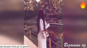 Хьо Воцуш Г1ила Ду Са Дахар😍