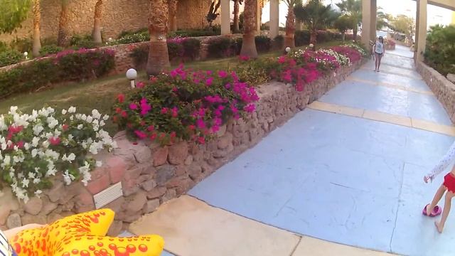 Египет, Continental Plaza Beach & Aqua Park Resort 5*, Дорога на пляж 5 минут смотреть онлайн
