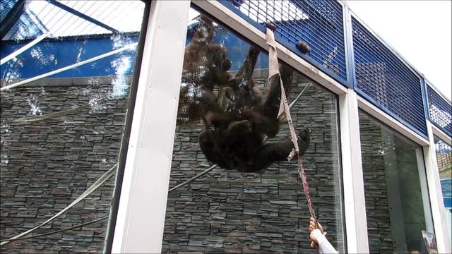 Мишель быстро научилась рыбачить 30.08.18 смотреть онлайн