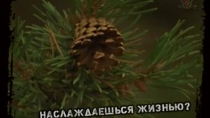 СОЦИАЛЬНАЯ РЕКЛАМА - Лесные Пожары