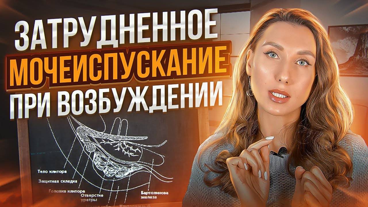 Затрудненное мочеиспускание после полового акта. Женская половая физиология смотреть онлайн