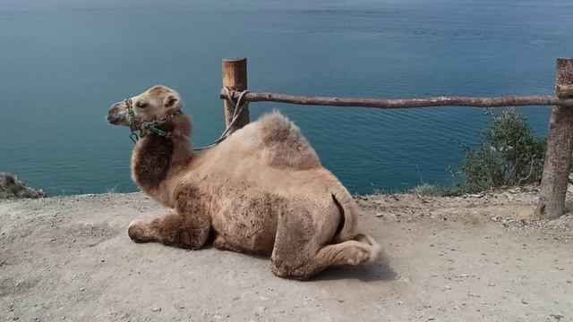 Дагестан, Чиркейское водохранилище смотреть онлайн