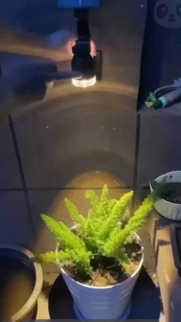 Солнечный светильник AliExpress смотреть онлайн