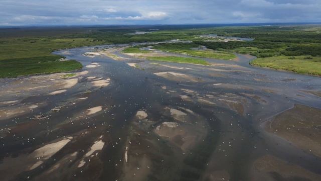 Соболевский район смотреть онлайн
