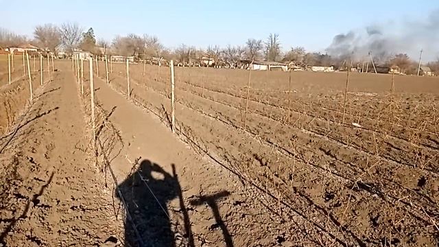 обзор участков и сортов нашэй малины смотреть онлайн