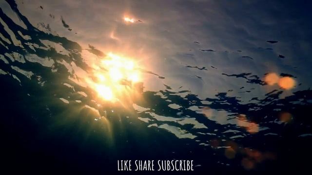 ☦️❤РАДОСТЬ!!!❤🕊️