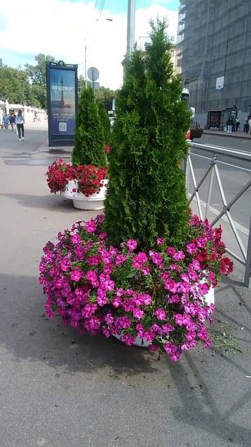 "Мой Петербург"- выставка #shorts #shortsvideo смотреть онлайн