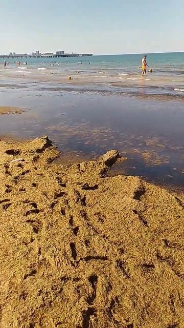 ☀️АНАПА🌅 ДЖЕМЕТЕ🌊 ГРЯЗНОЕ МОРЕ🏖️ ПУСТЫЕ ПЛЯЖИ⛱️ ИЮЛЬ 2023 смотреть онлайн