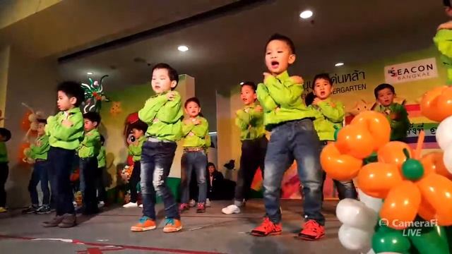 NUTTAPON CHINTHAMMIT's broadcast with CameraFi Live смотреть онлайн