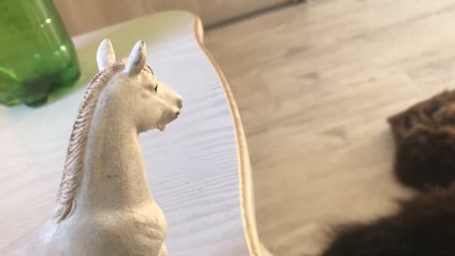 Ты лутшая Ариона шляйх 🥳 смотреть онлайн