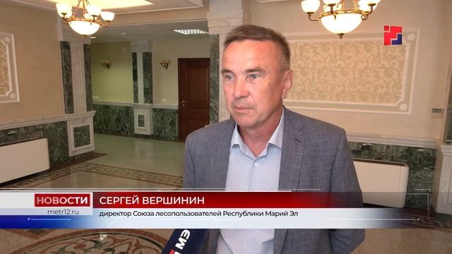 Защиту лесов Марий Эл от огня обсудили на очередном заседании общественной палаты смотреть онлайн