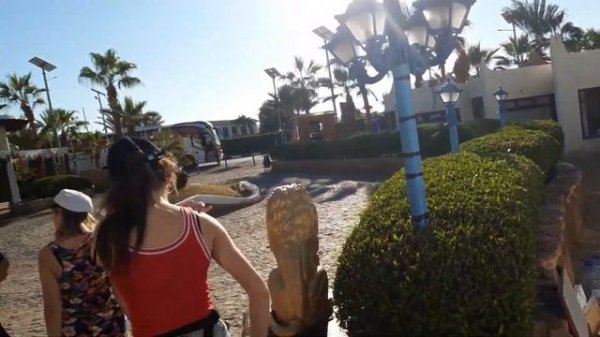 Turquoise Beach Hotel 4, территория и пляж