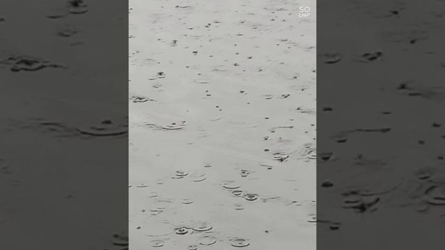 метро на Троещину или воскресенский мост смотреть онлайн