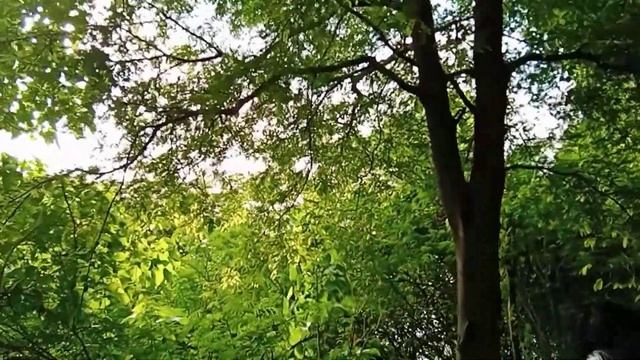 A QUICK GET AWAY PLUS FIELD TEST OF FORCLAZ TROPIC HAMMOCK смотреть онлайн
