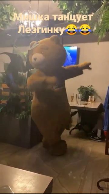 мишка в кафе танцует лезгинку😂😂 смотреть онлайн