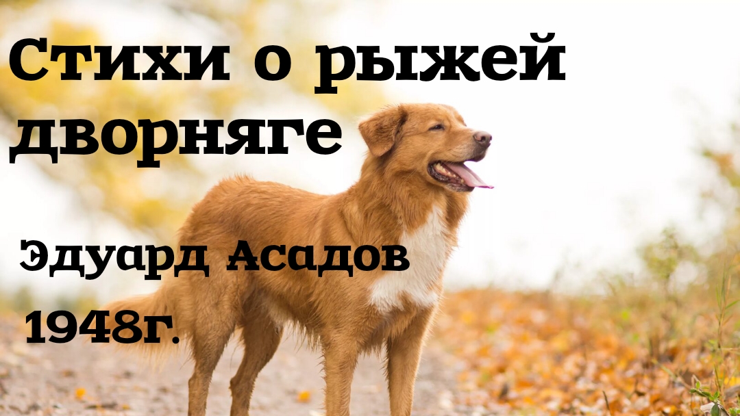 Стихи Эдуарда Асадова