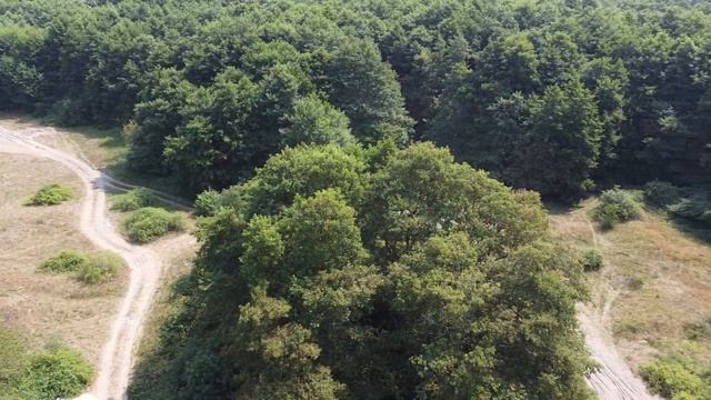 Поход на Балтийскую косу (ДР Платона)-6 смотреть онлайн