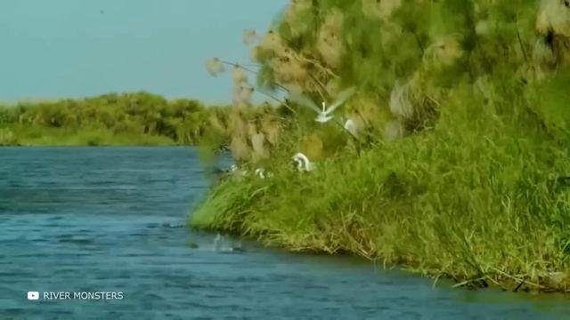 Если бы Рыбаки Это не Засняли, Никто бы не Поверил смотреть онлайн